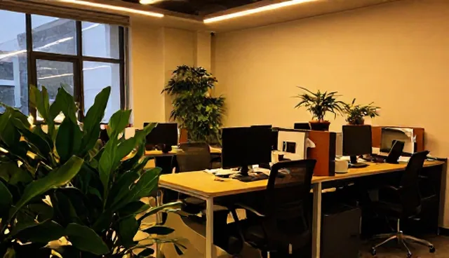 信息发布性能与适用条件分析:厂商名录的使用场景与限制